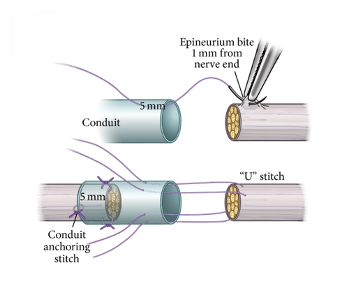 Details are in the caption following the image Details are in the caption following the image