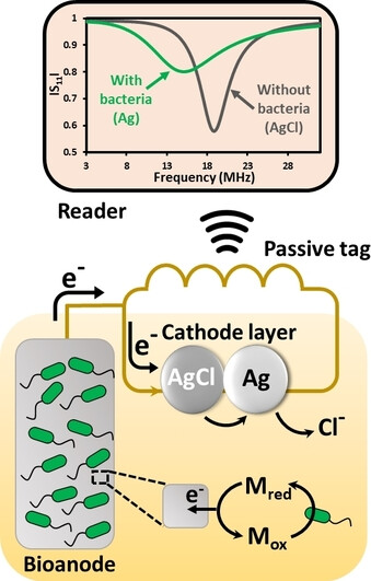 A Rapidly Responsive Sensor for Wireless Detection of Early and Mature Microbial Biofilms