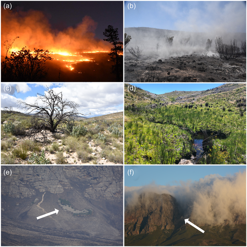 Details are in the caption following the image Details are in the caption following the image