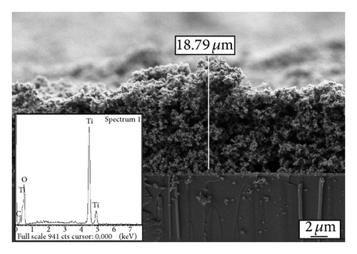 Details are in the caption following the image