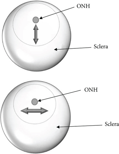 Details are in the caption following the image