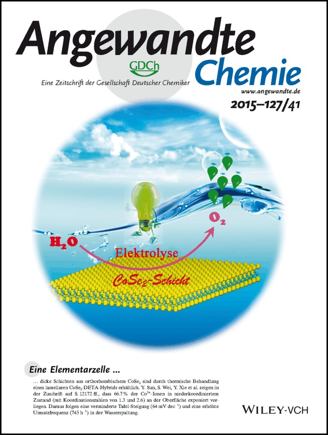 Innentitelbild: Metallic Single-Unit-Cell Orthorhombic Cobalt Diselenide Atomic Layers: Robust Water-Electrolysis Catalysts (Angew. Chem. 41/2015)