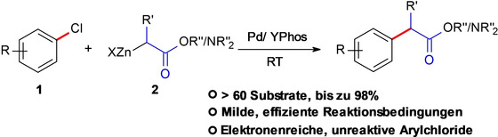 Kupplung von Reformatsky-Reagenzien und Arylchloriden ermöglicht durch Ylid-funktionalisierte Phosphanliganden