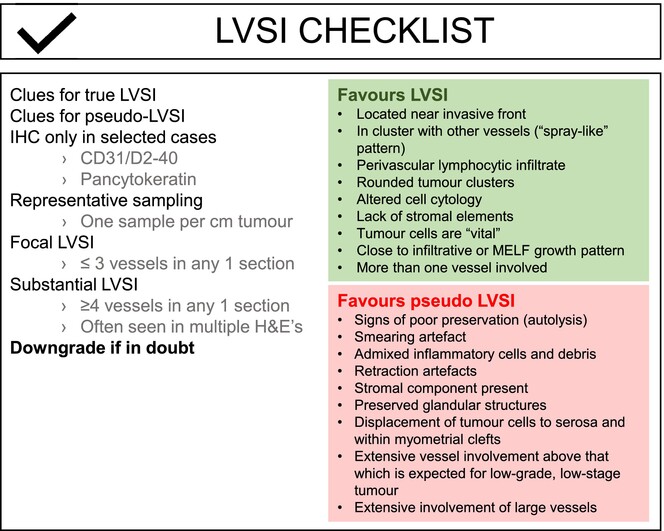 Practical guidance for assessing and reporting lymphovascular space invasion (LVSI) in endometrial carcinoma