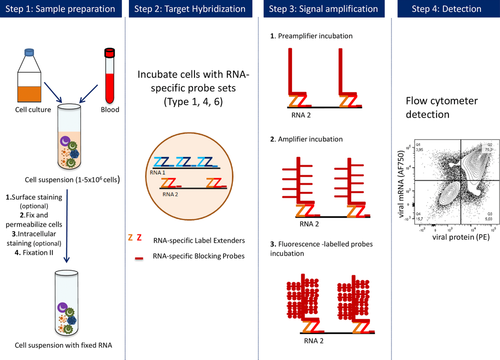 Details are in the caption following the image Details are in the caption following the image