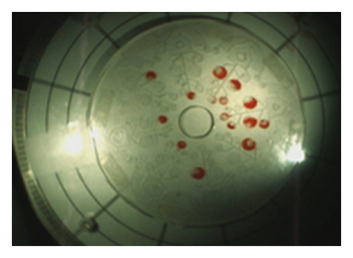Details are in the caption following the image