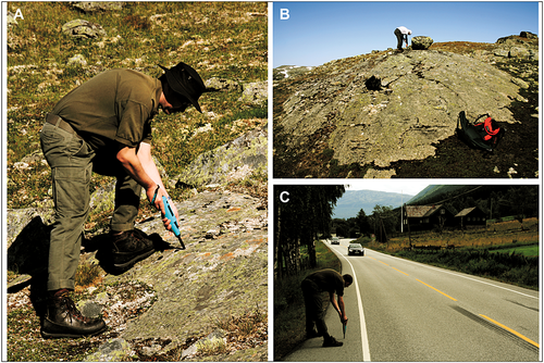 Details are in the caption following the image Details are in the caption following the image