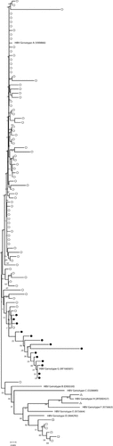 Details are in the caption following the image Details are in the caption following the image