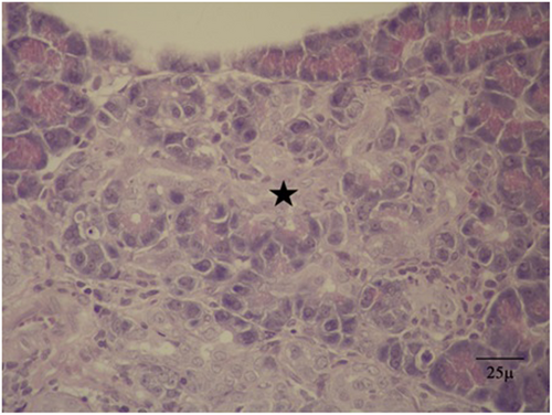Details are in the caption following the image