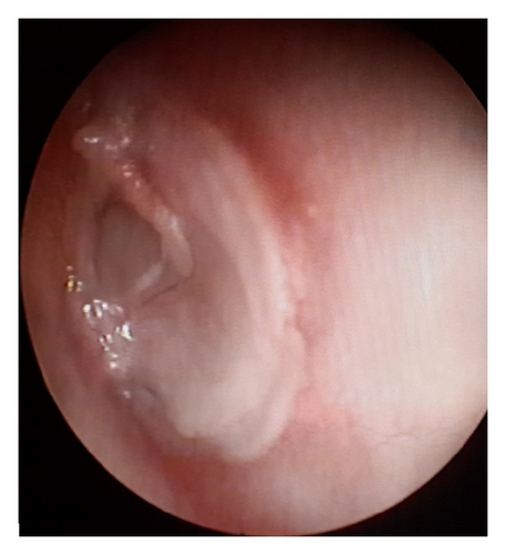 Details are in the caption following the image Details are in the caption following the image