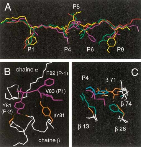 Details are in the caption following the image