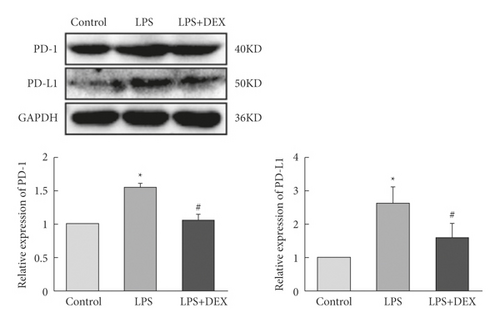 Details are in the caption following the image Details are in the caption following the image