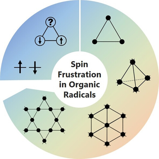 Spin Frustration in Organic Radicals