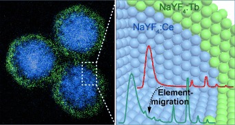 Establishing the Structural Integrity of Core–Shell Nanoparticles against Elemental Migration using Luminescent Lanthanide Probes