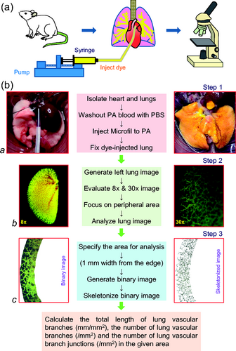 Details are in the caption following the image Details are in the caption following the image