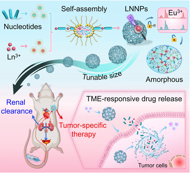 Tumor-Microenvironment-Responsive Biodegradable Nanoagents Based on Lanthanide Nucleotide Self-Assemblies toward Precise Cancer Therapy