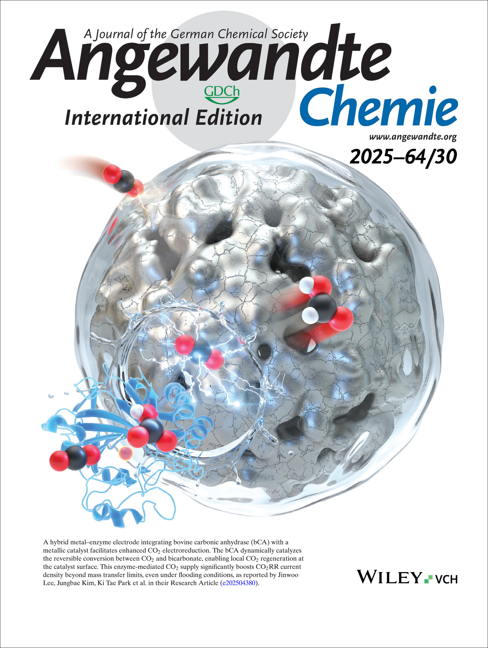 Outside Front Cover: Boosting Current Density of Electrocatalytic CO2 Reduction using Metal-Enzyme Hybrid Cathodes (Angew. Chem. Int. Ed. 30/2025) Volume 64 Issue 30, 2025