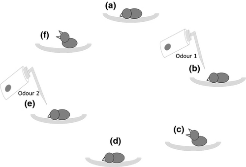 Details are in the caption following the image Details are in the caption following the image
