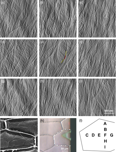 Details are in the caption following the image Details are in the caption following the image