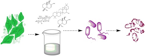 Plants as Antileishmanial Agents: Current Scenario