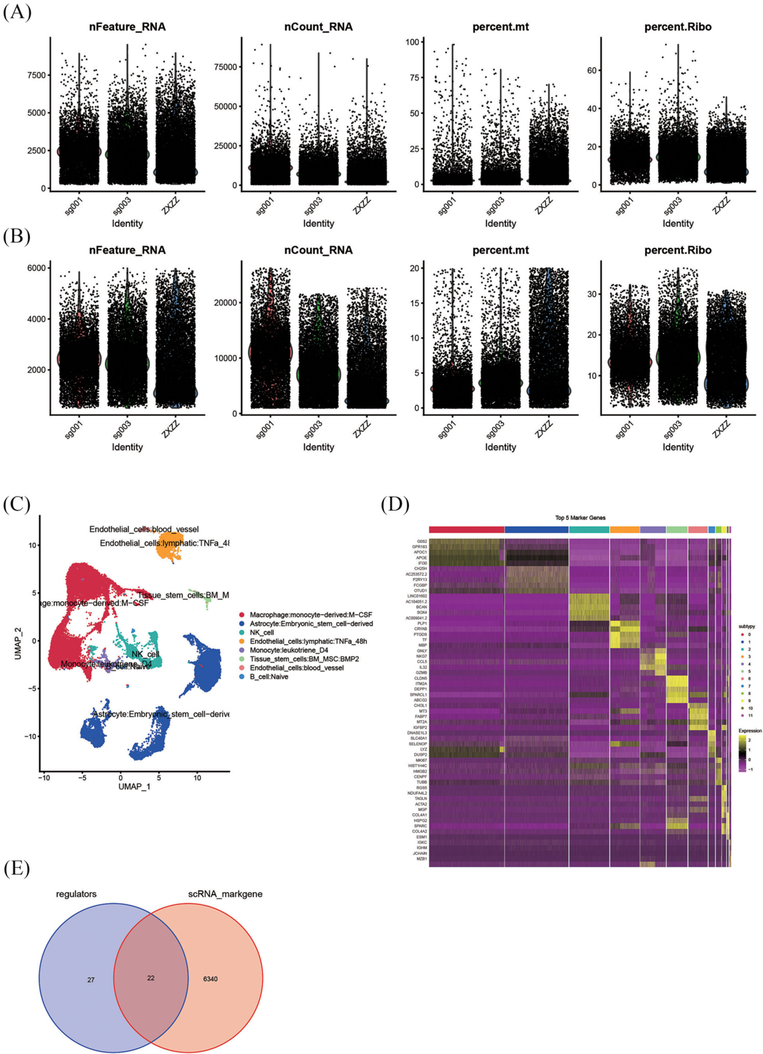 Characterization of the m6A/m1A/m5C/m7G-related regulators on the prognosis and immune microenvironment of glioma by integrated analysis of scRNA-seq and bulk RNA-seq data