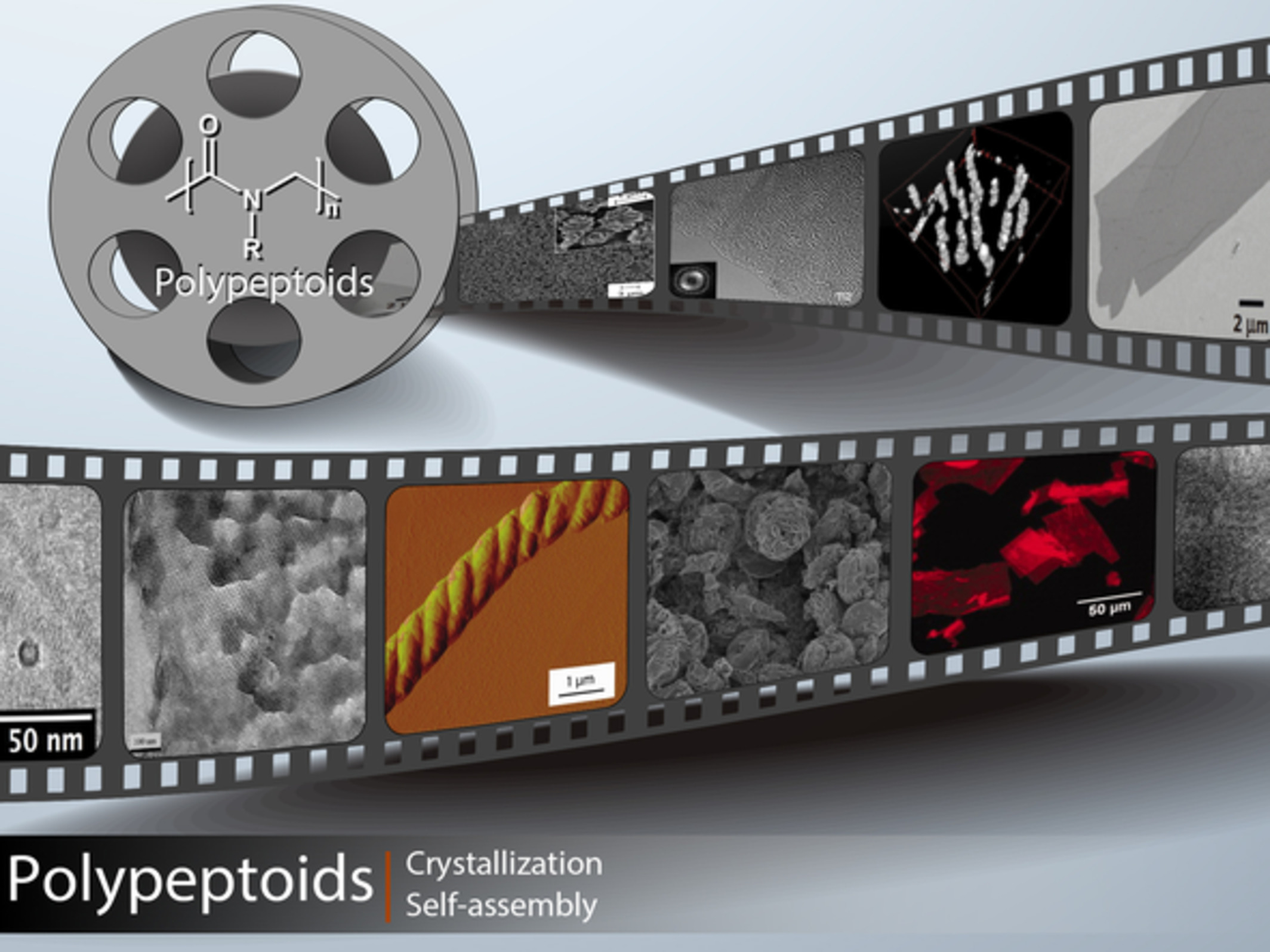 Recent advances in crystallization and self-assembly of polypeptoid polymers