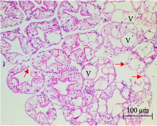 Details are in the caption following the image