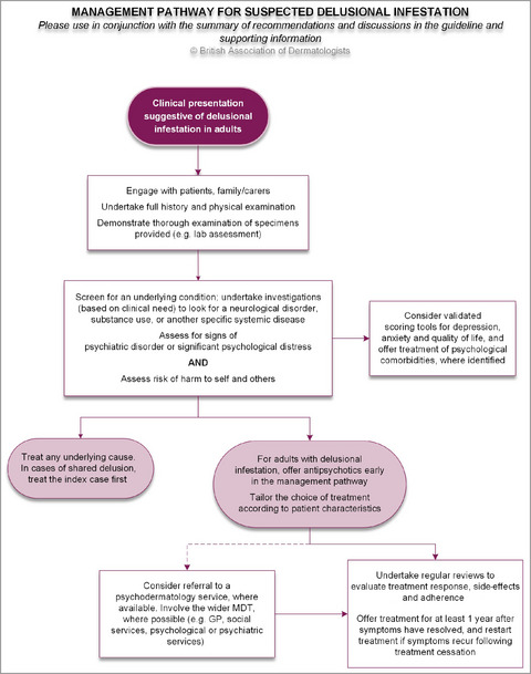 British Association of Dermatologists guidelines for the management of adults with delusional infestation 2022