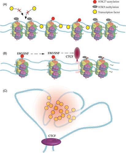 Details are in the caption following the image