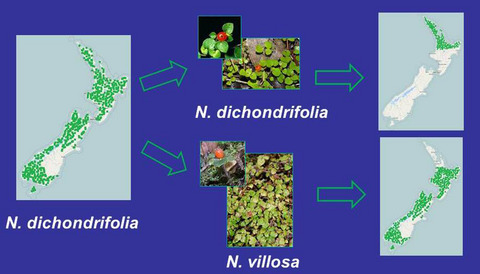 Achievements and challenges in the integration, reuse and synthesis of vegetation plot data