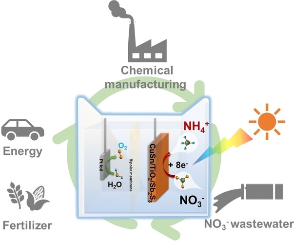 Enhanced Charge-Carrier Dynamics and Efficient Photoelectrochemical Nitrate-to-Ammonia Conversion on Antimony Sulfide-Based Photocathodes