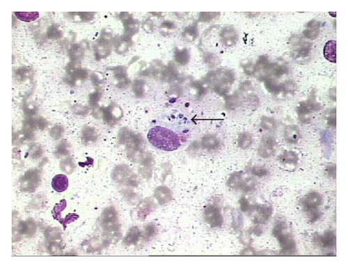 Details are in the caption following the image