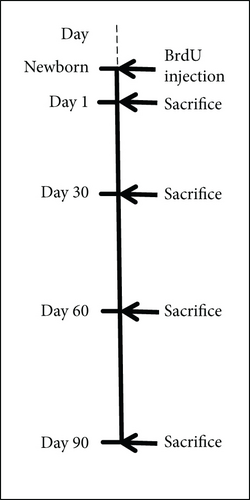 Details are in the caption following the image