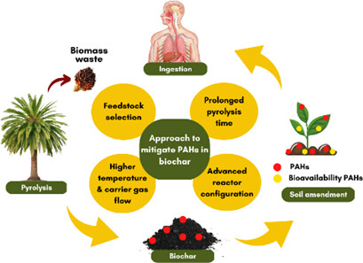 Polycyclic Aromatic Hydrocarbons Occurrences in Biomass Char and Its Mitigation Approaches: A Mini Review