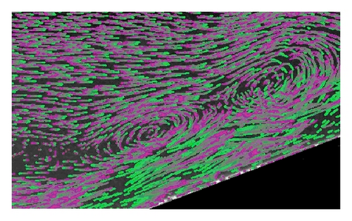 Details are in the caption following the image Details are in the caption following the image