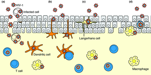 Details are in the caption following the image