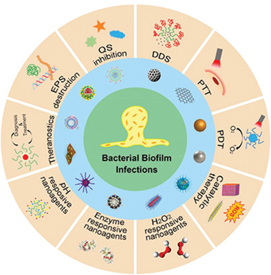 Recent development of nanomedicine for the treatment of bacterial biofilm infections Issue 1, 2021