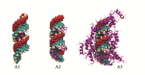 Details are in the caption following the image