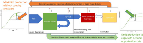 Changes in perspective needed to forge ‘no-regret’ forest-based climate change mitigation strategies