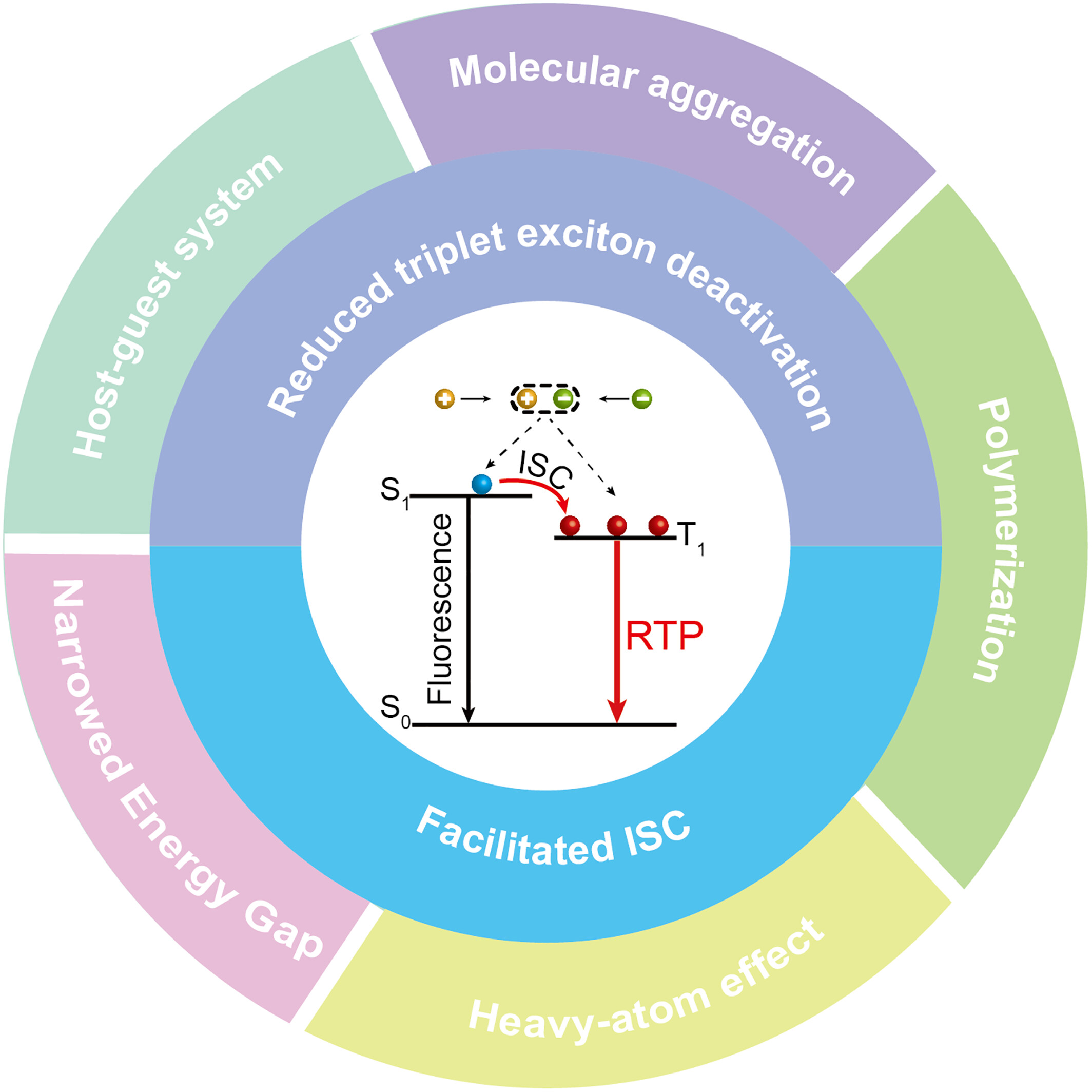 Purely organic room temperature phosphorescent materials toward organic light-emitting diodes