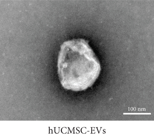 Details are in the caption following the image