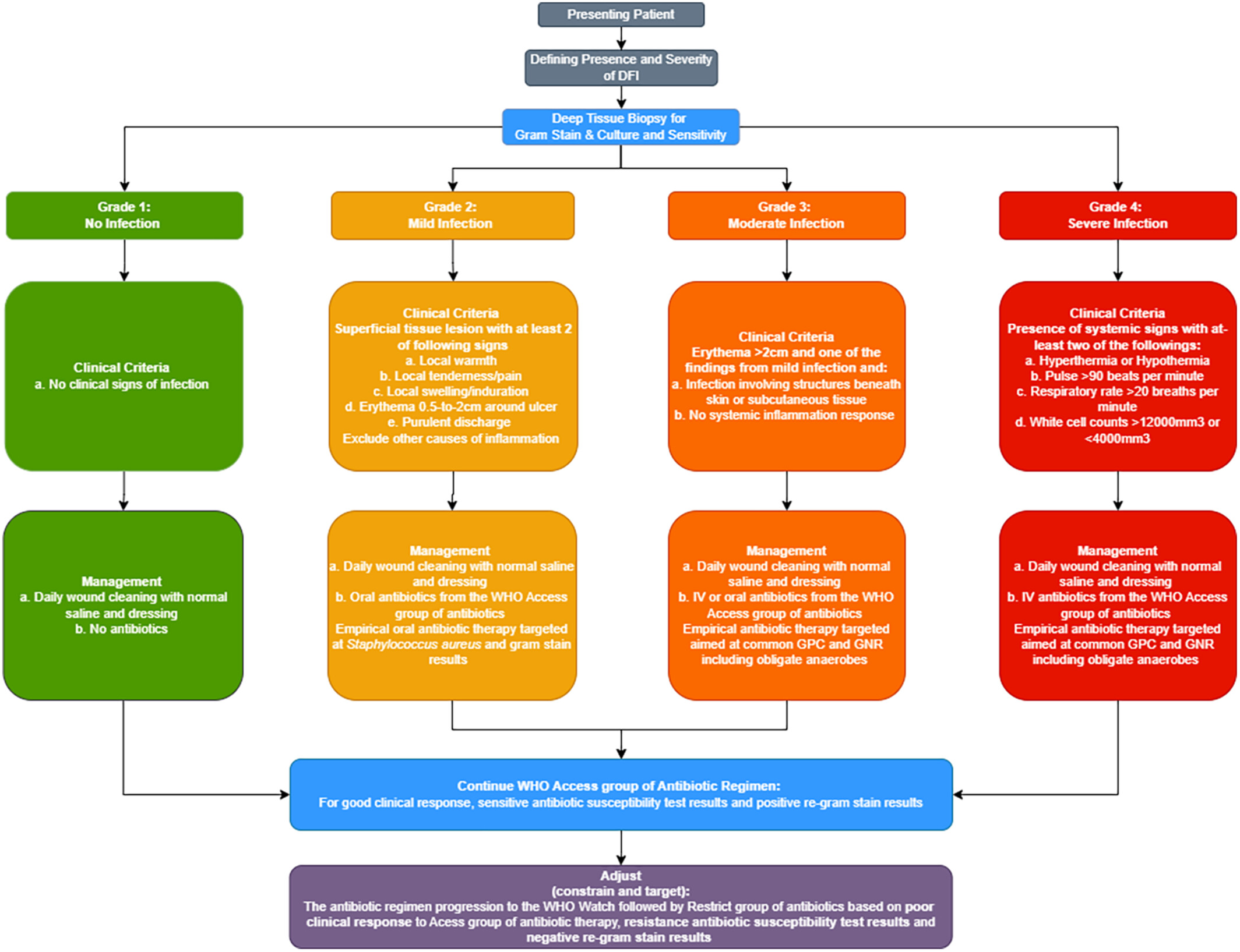 Antibiotic Stewardship in the Management of Infected Diabetic Foot Ulcer Disease in Less Developed Countries