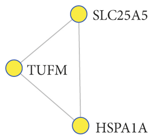 Details are in the caption following the image Details are in the caption following the image