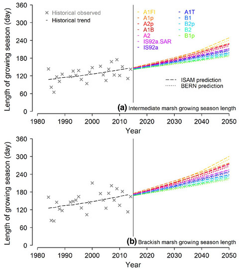 Feedback of coastal marshes to climate change: Long-term phenological shifts