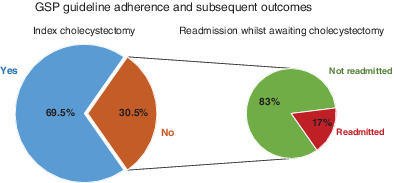 Index cholecystectomy rates in mild gallstone pancreatitis: a single-centre experience