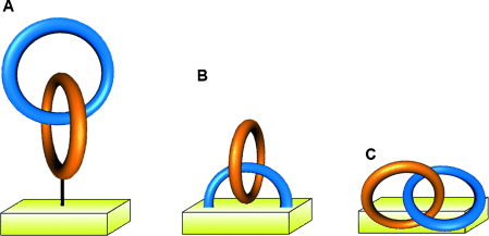 Details are in the caption following the image
