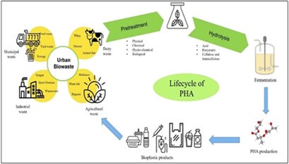Recent Development in Urban Polyhydroxyalkanoates Biorefineries