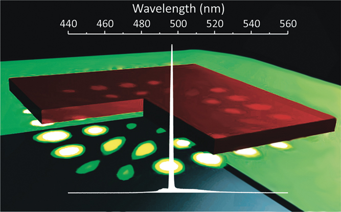 Plasmon lasers: coherent light source at molecular scales