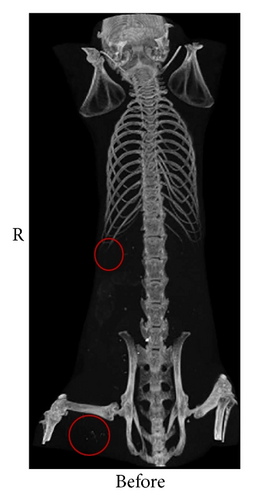 Details are in the caption following the image