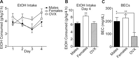 Ovarian Hormones Contribute to High Levels of Binge-Like Drinking by Female Mice